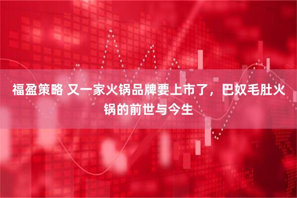 福盈策略 又一家火锅品牌要上市了，巴奴毛肚火锅的前世与今生