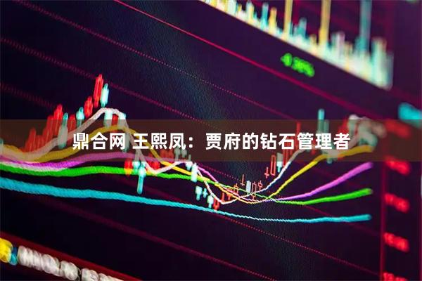 鼎合网 王熙凤：贾府的钻石管理者