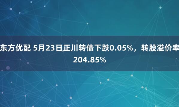 东方优配 5月23日正川转债下跌0.05%，转股溢价率204.85%