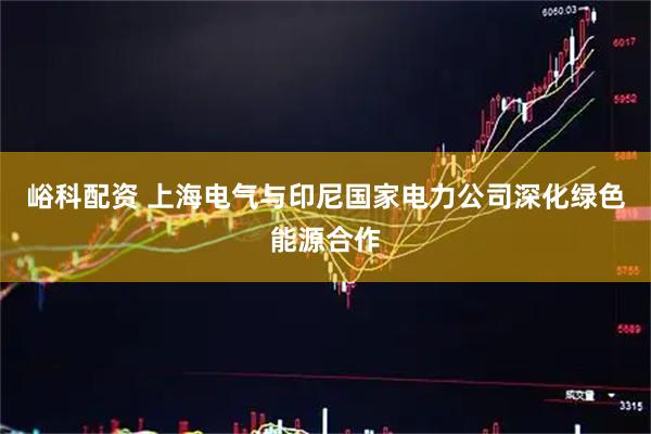 峪科配资 上海电气与印尼国家电力公司深化绿色能源合作