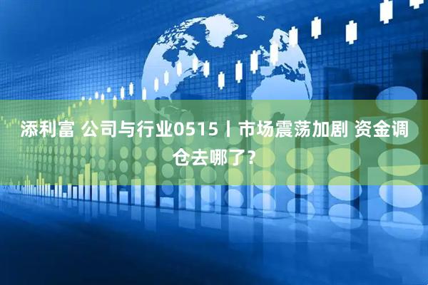 添利富 公司与行业0515丨市场震荡加剧 资金调仓去哪了？
