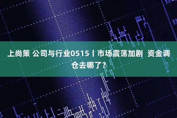 上尚策 公司与行业0515丨市场震荡加剧  资金调仓去哪了？
